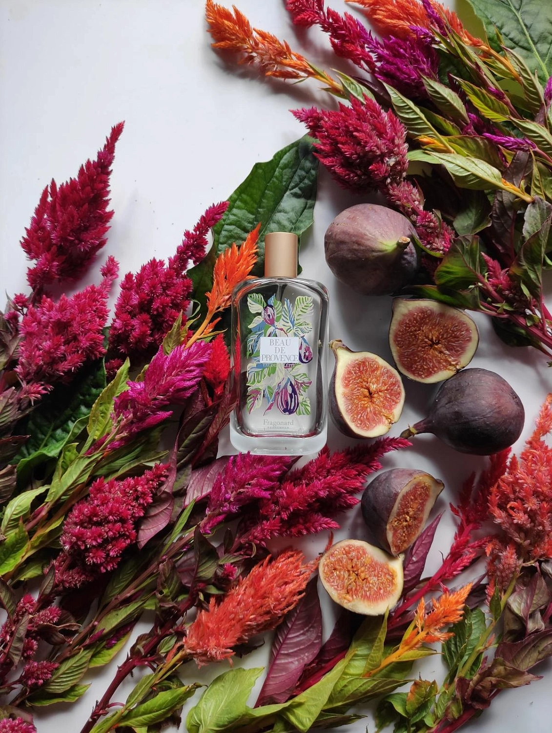 Fragonard Beau De Provence