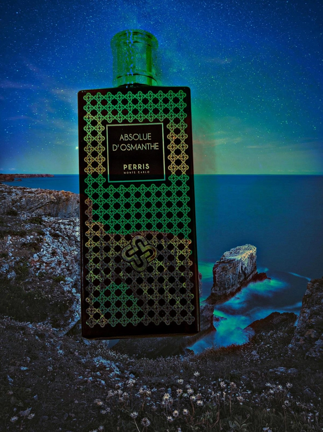 Perris Monte Carlo Absolue d'Osmanthe