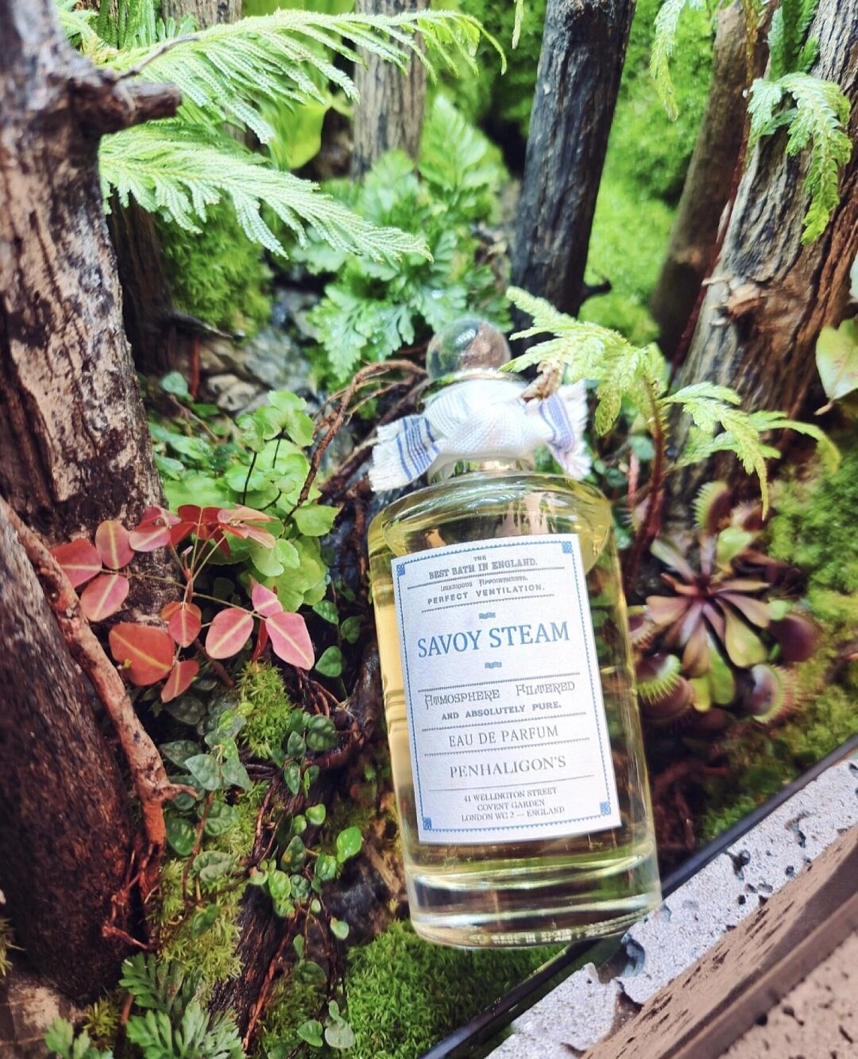 Penhaligon's Savoy Steam
