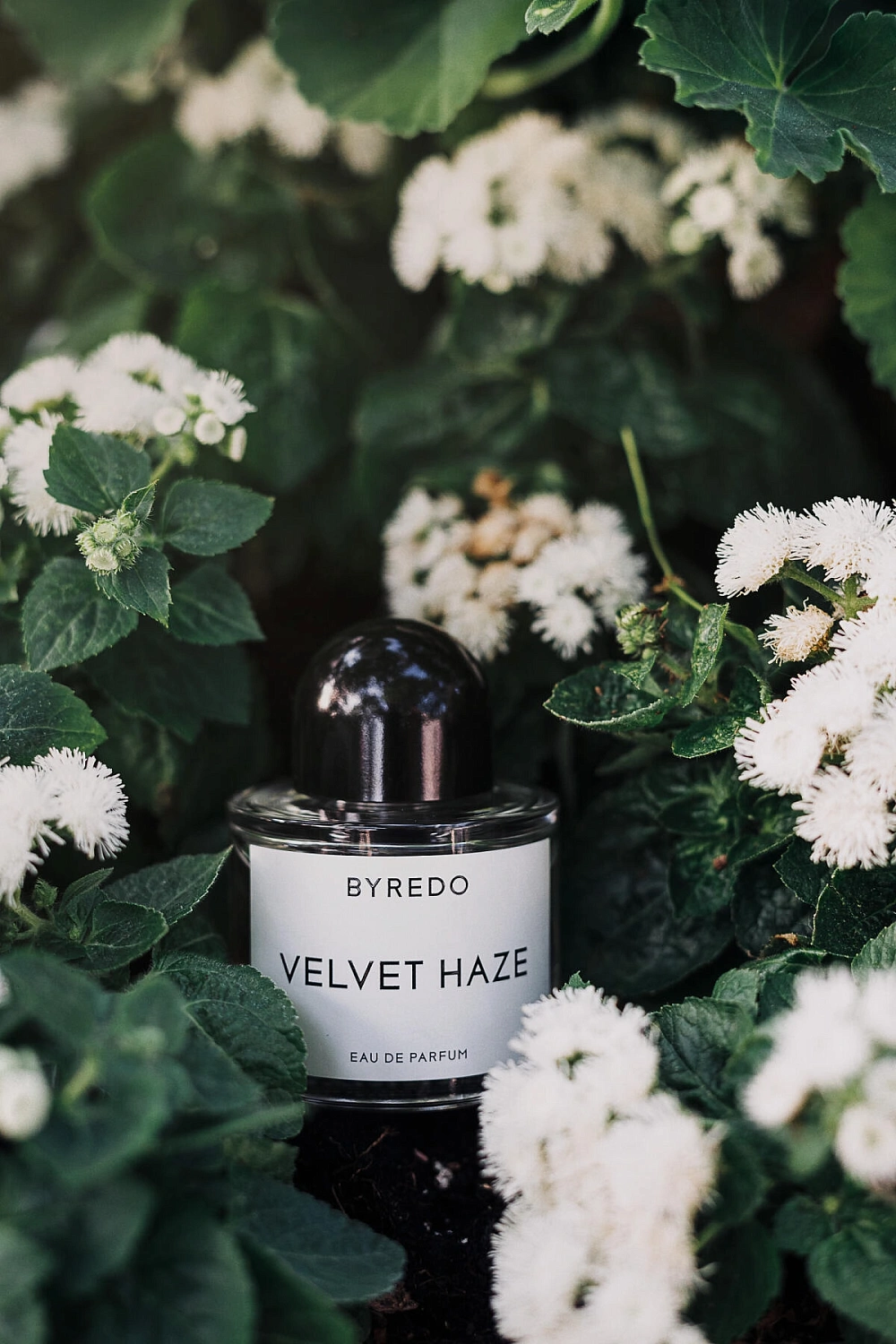 BYREDO Velvet Haze