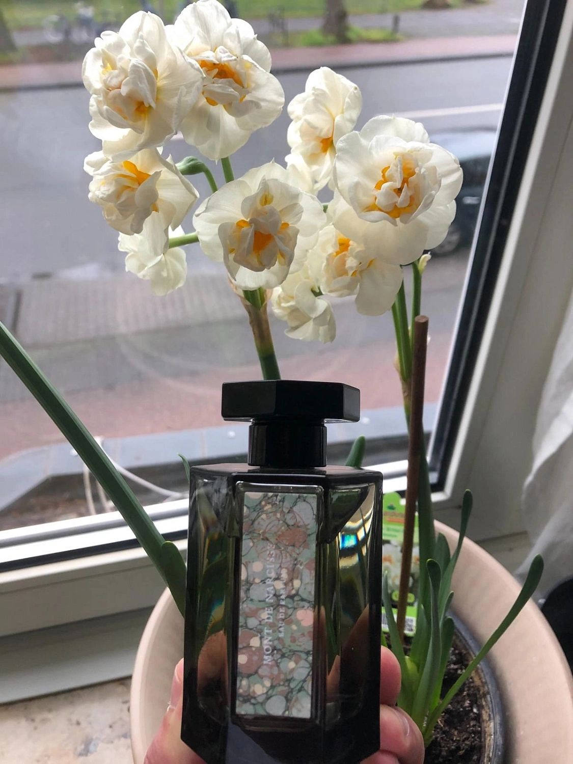 L`Artisan Parfumeur Mont de Narcisse L`Artisan Parfumeur Mont de Narcisse