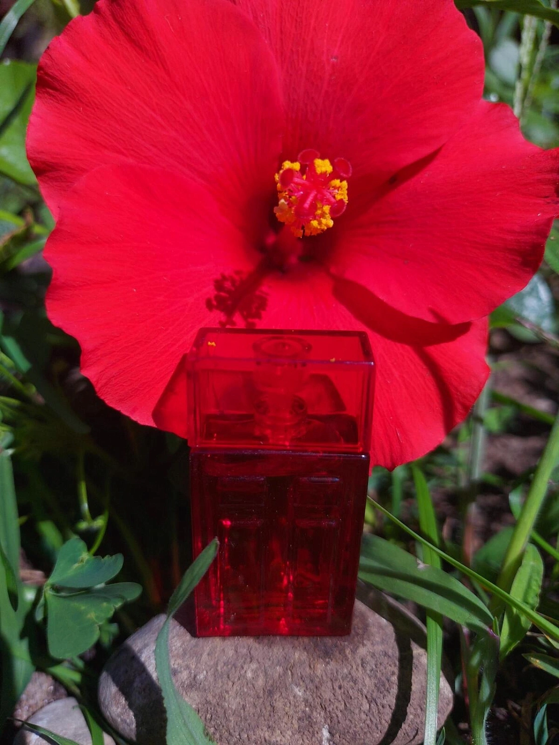 Elizabeth Arden Red Door