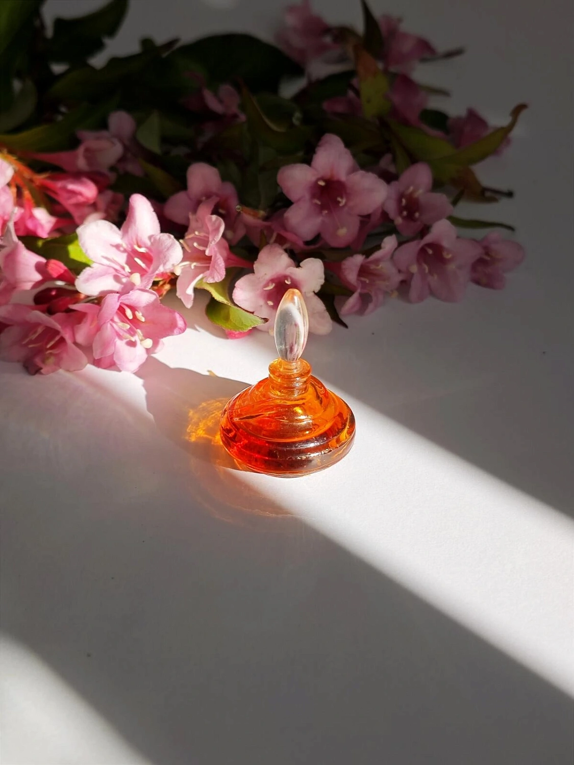 Ted Lapidus Fantasme