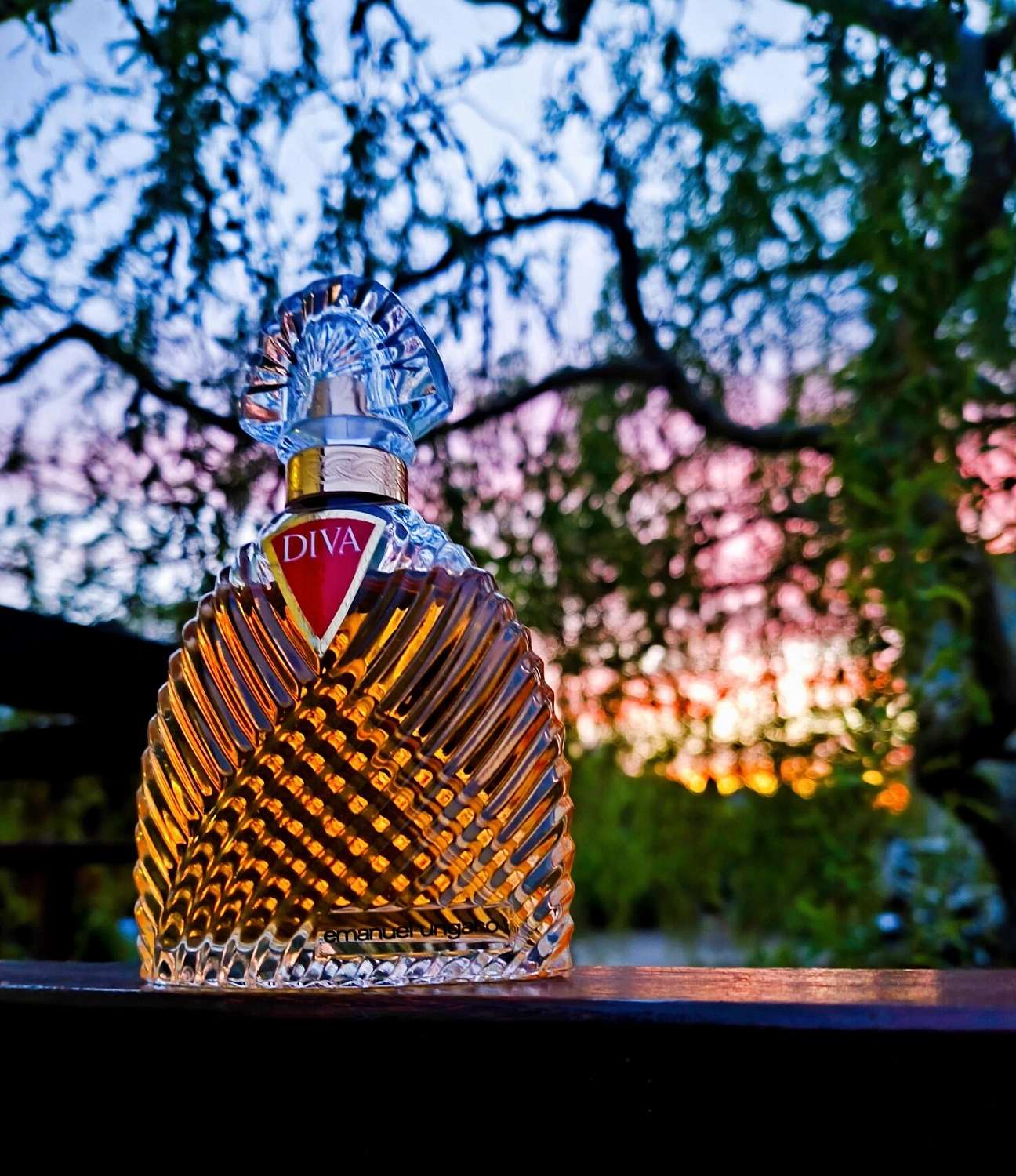 Emanuel Ungaro Diva