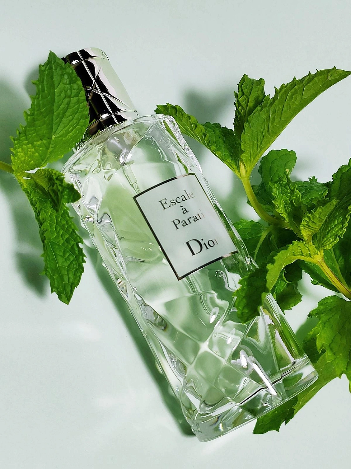 Christian Dior Escale a Parati