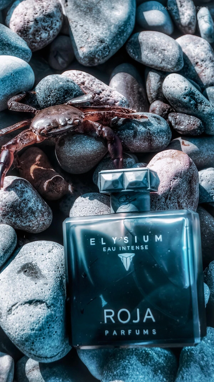 Roja Parfums Elysium Pour Homme Eau Intense