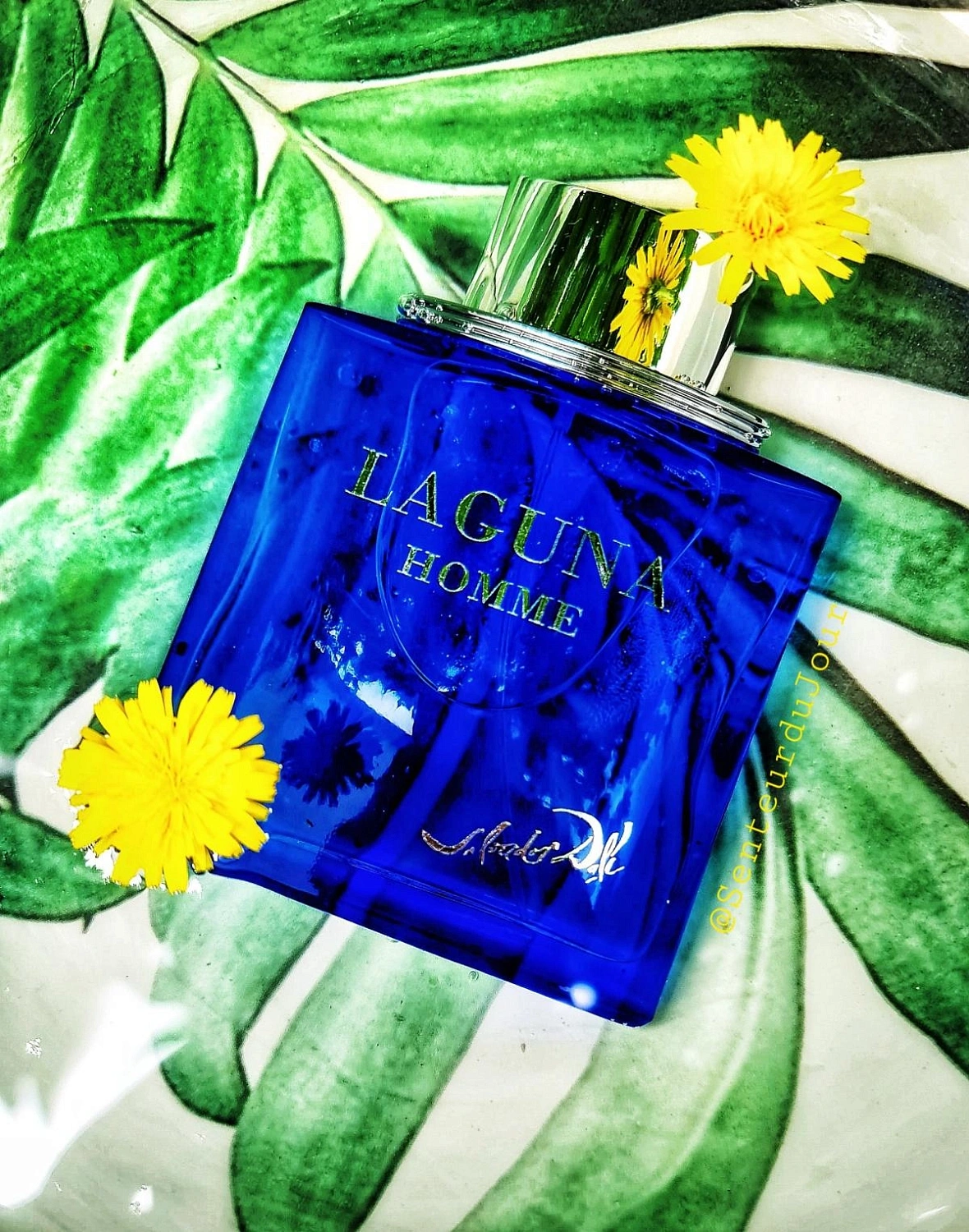 Salvador Dali Laguna Homme Salvador Dali Laguna Homme