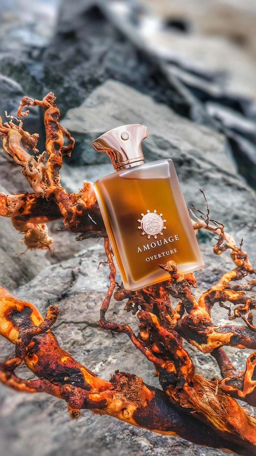 Amouage Overture Man