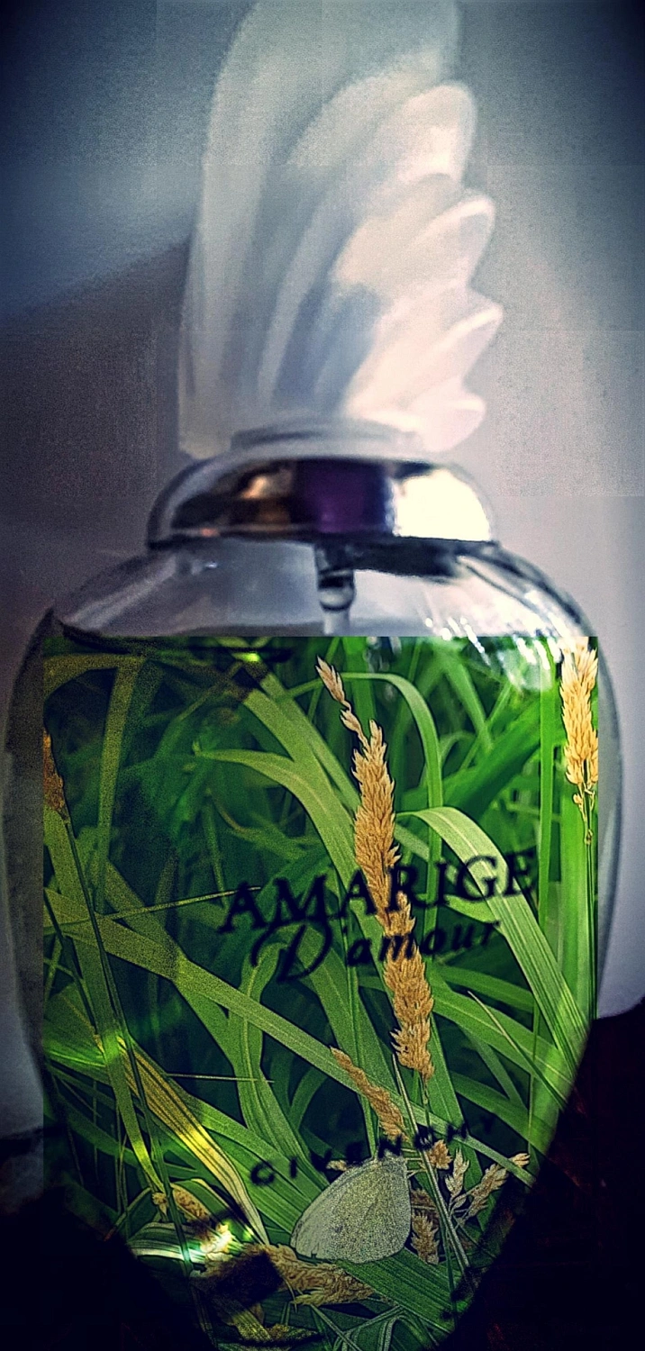 GIVENCHY Amarige D’Amour