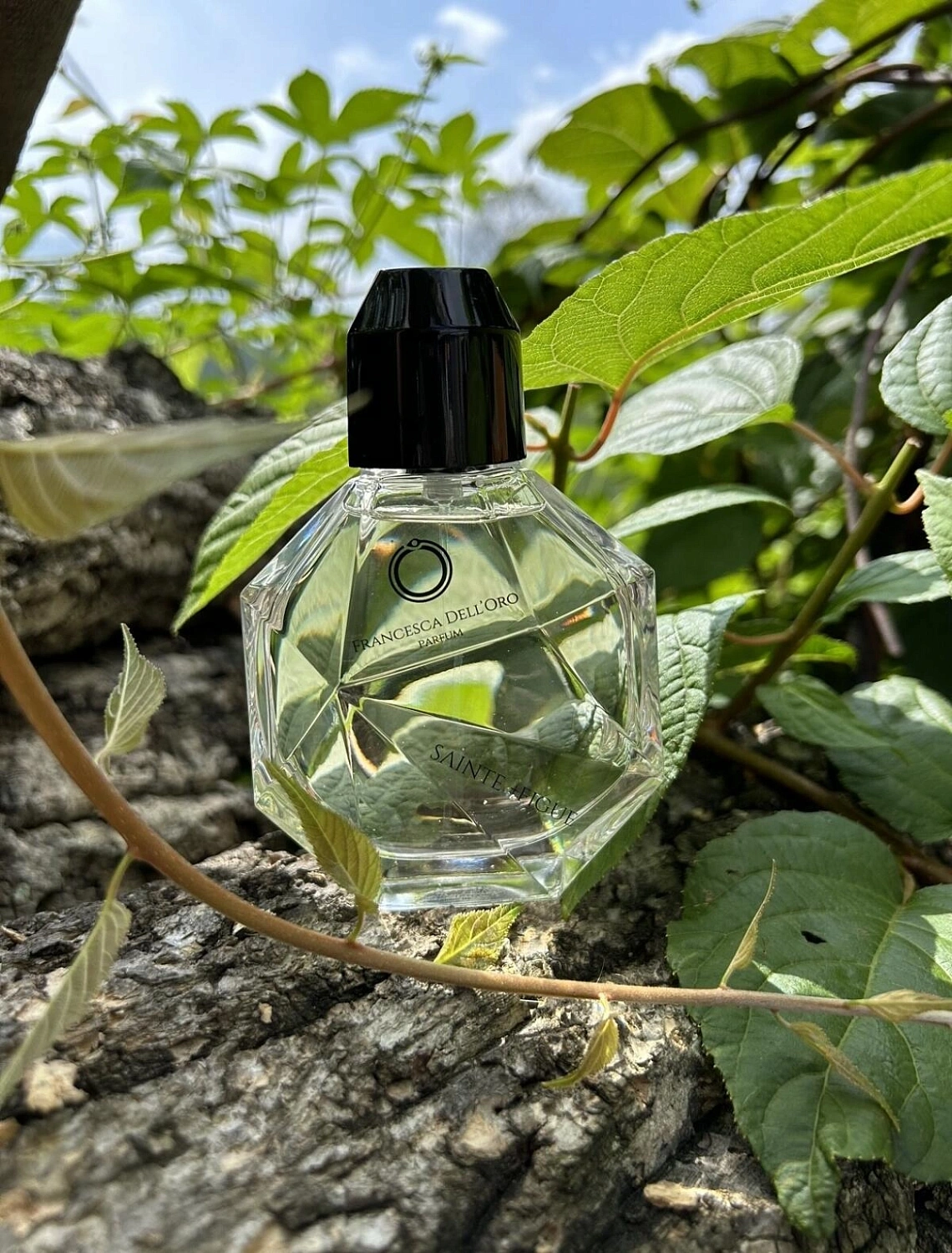 Francesca dell'Oro Sainte +Figue