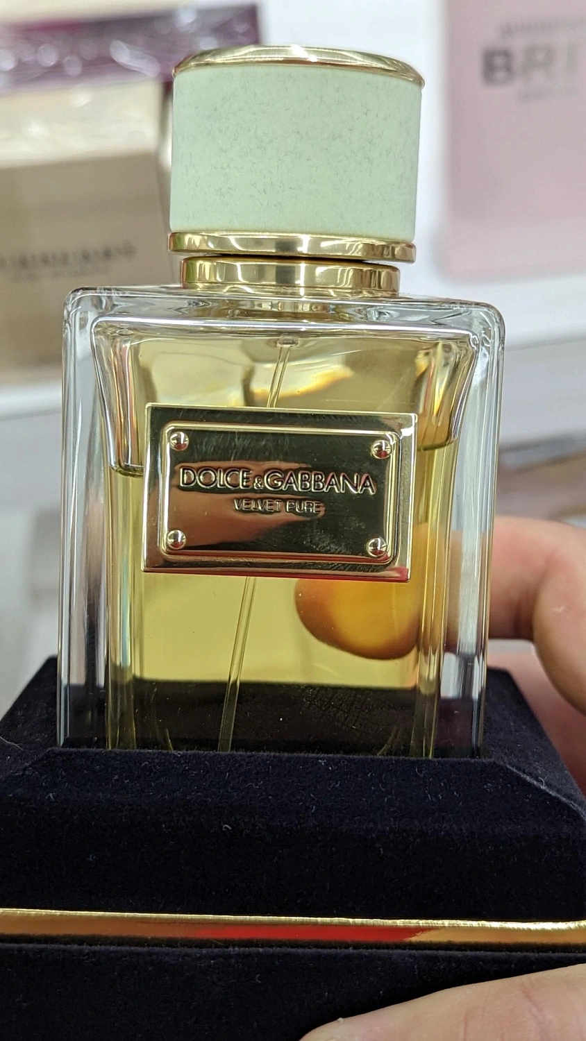 DOLCE & GABBANA Velvet Pure