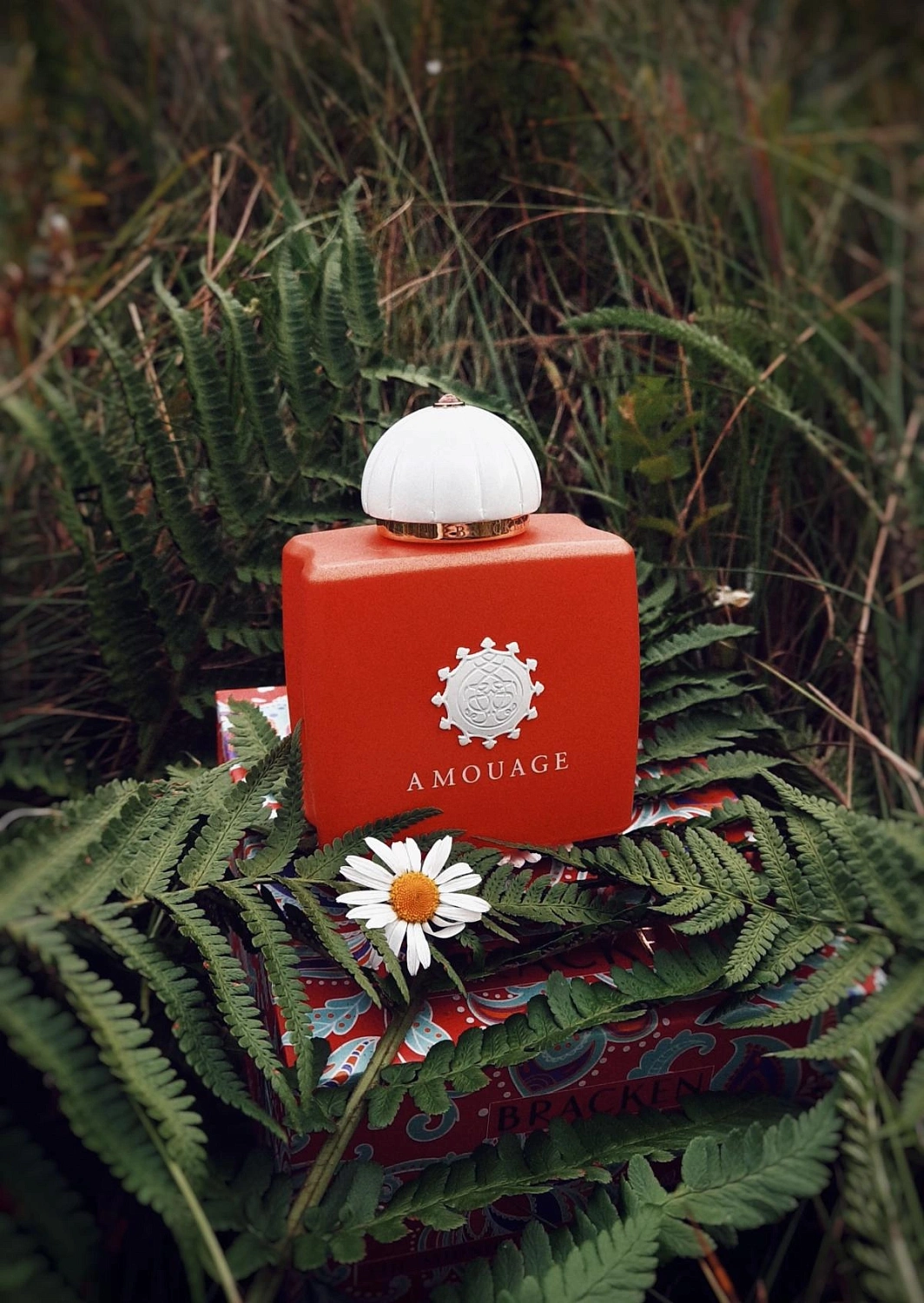Amouage Bracken Woman