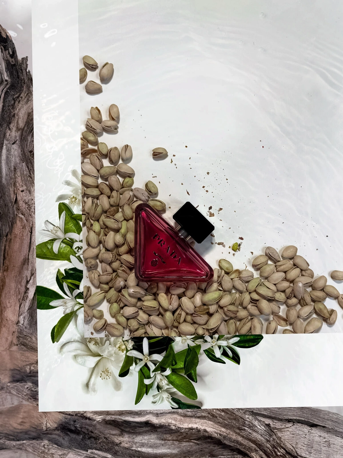 Prada Paradoxe Radical Essence