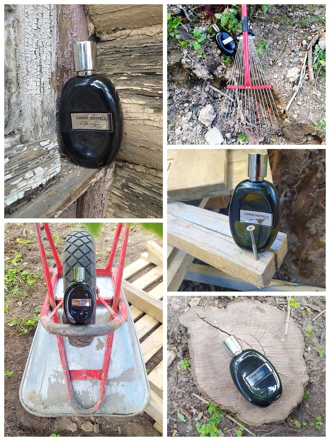 Carine Roitfeld George