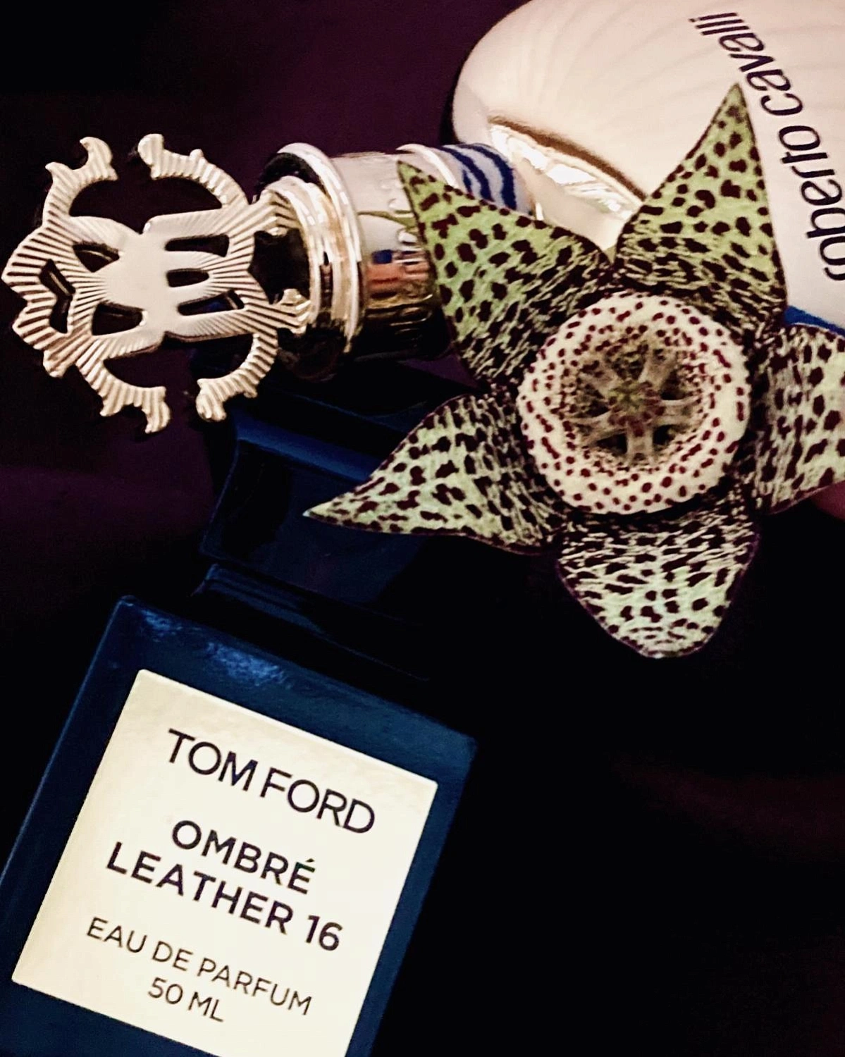 Tom Ford Ombre Leather 16