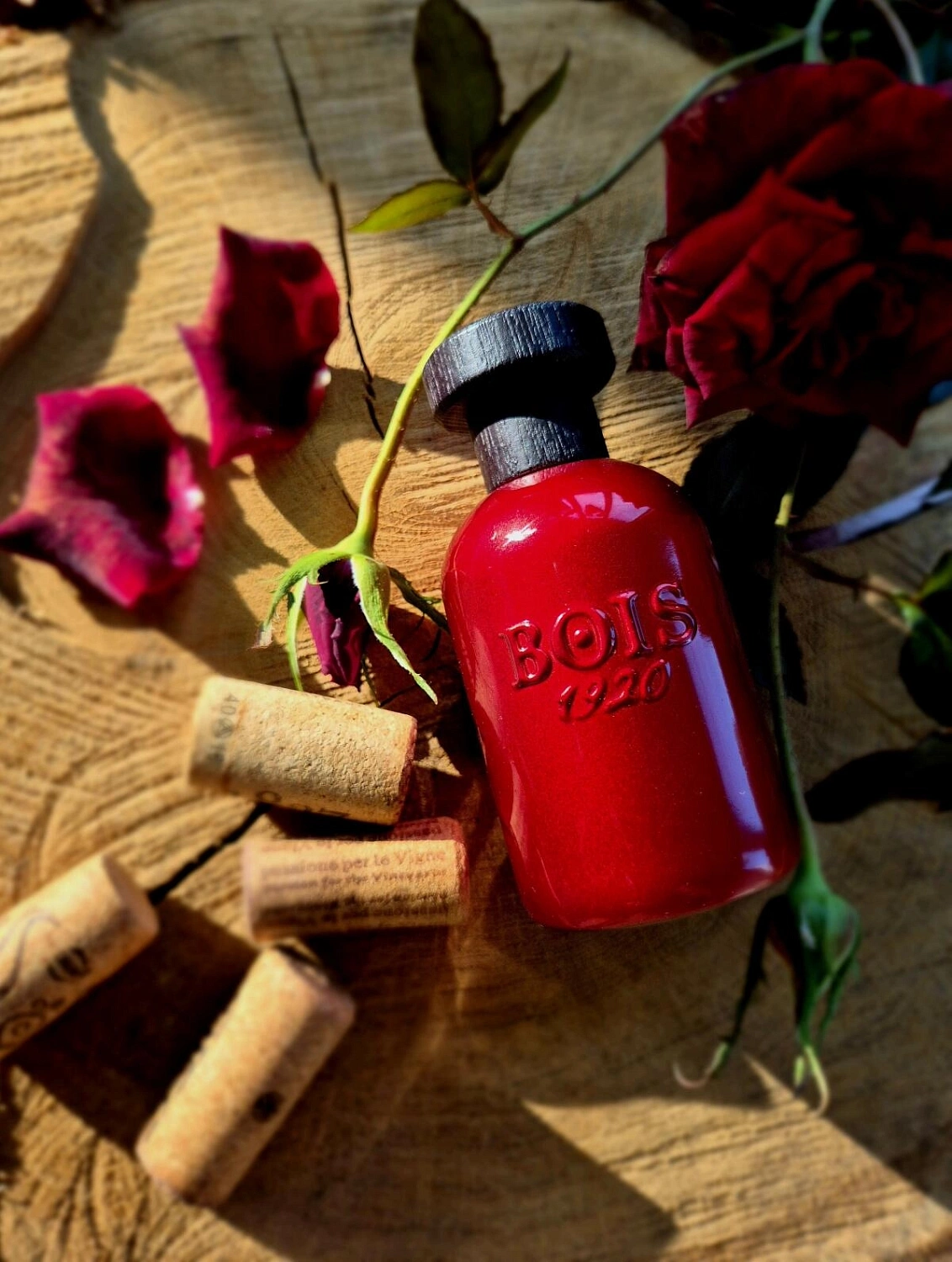 Bois 1920 Relativamente Rosso