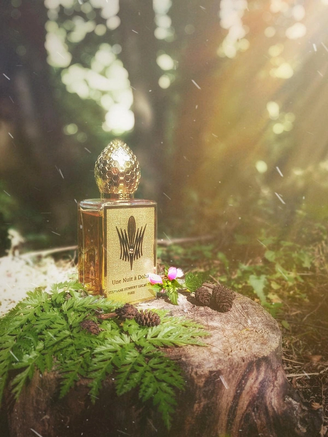 Stephane Humbert Lucas 777 Une Nuit a Doha