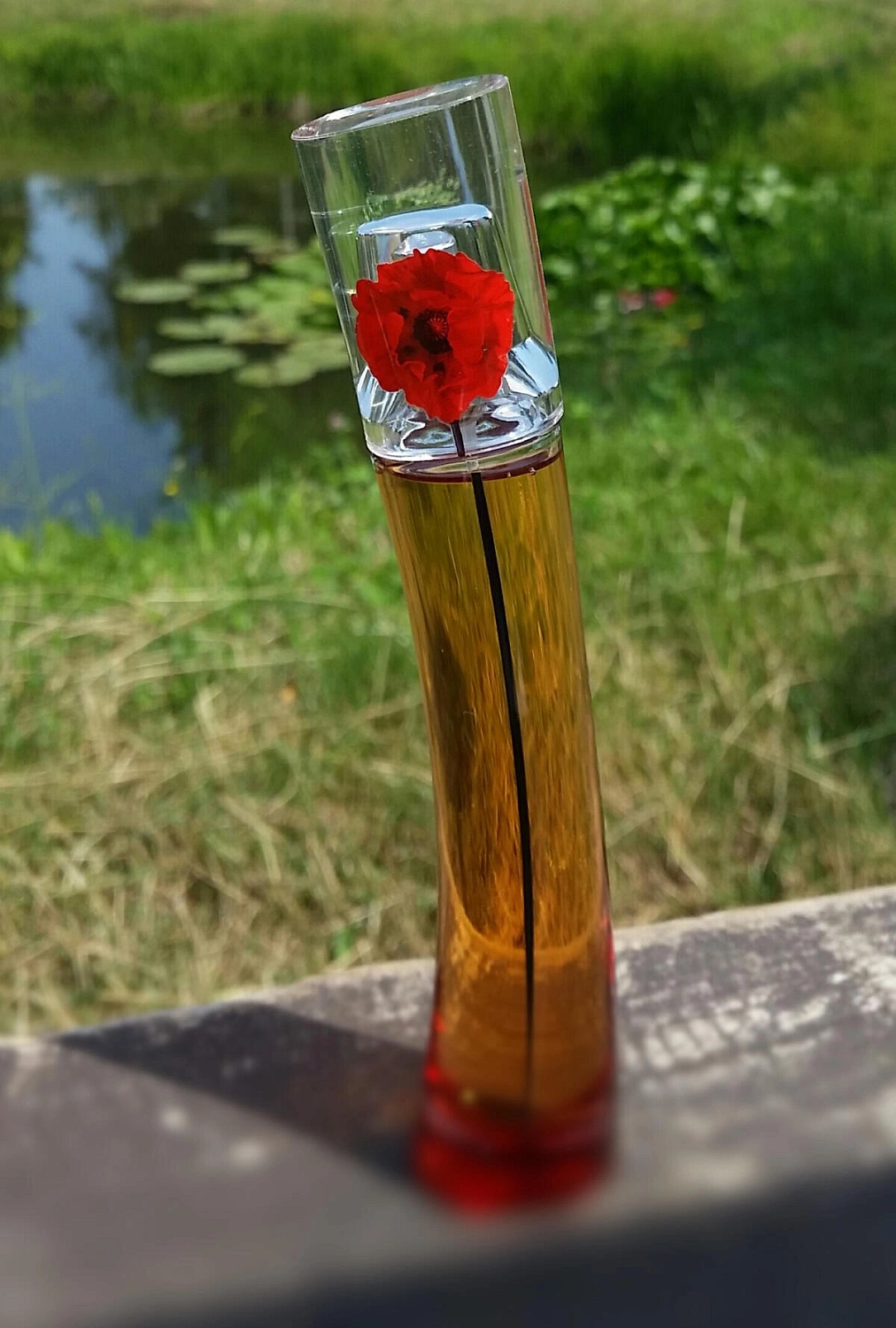 Flower by Kenzo L'Absolue Flower by Kenzo L'Absolue