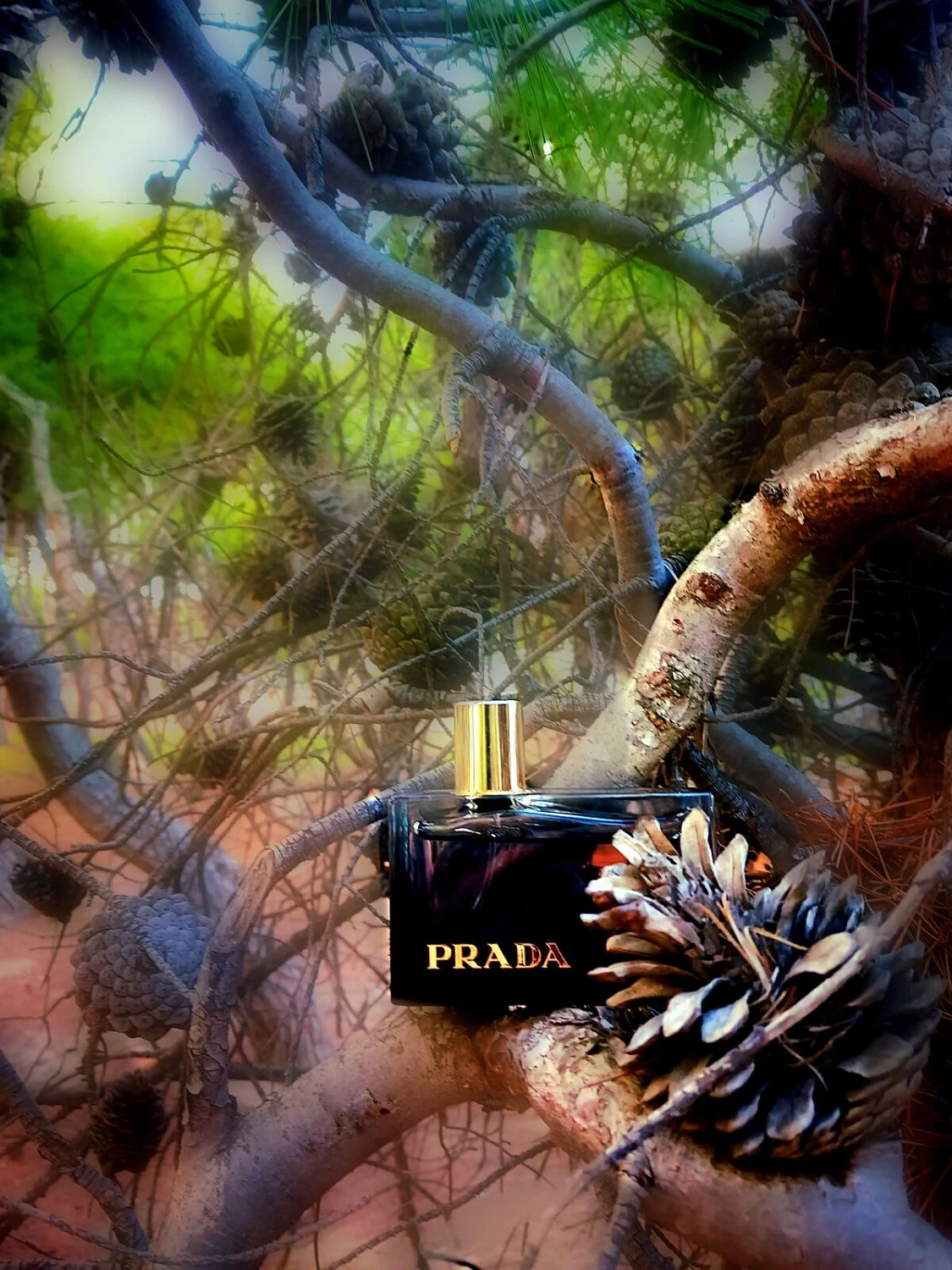 Prada L’Eau Ambree