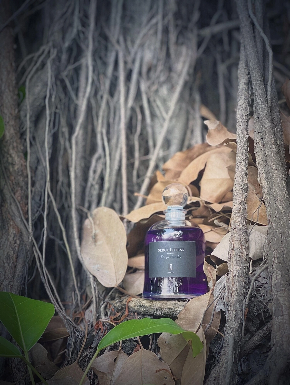 Serge Lutens De Profundis