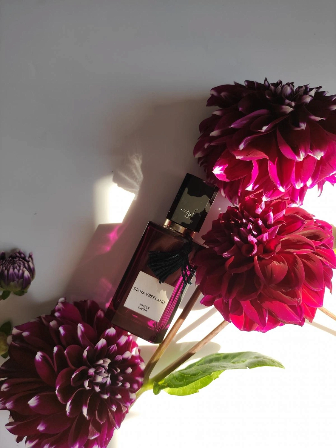 Diana Vreeland Simply Divine