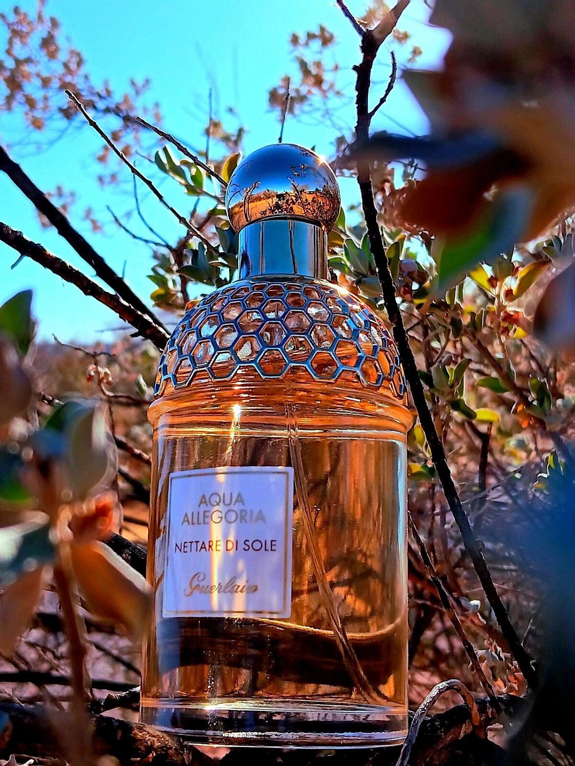 Guerlain Aqua Allegoria Nettare di Sole
