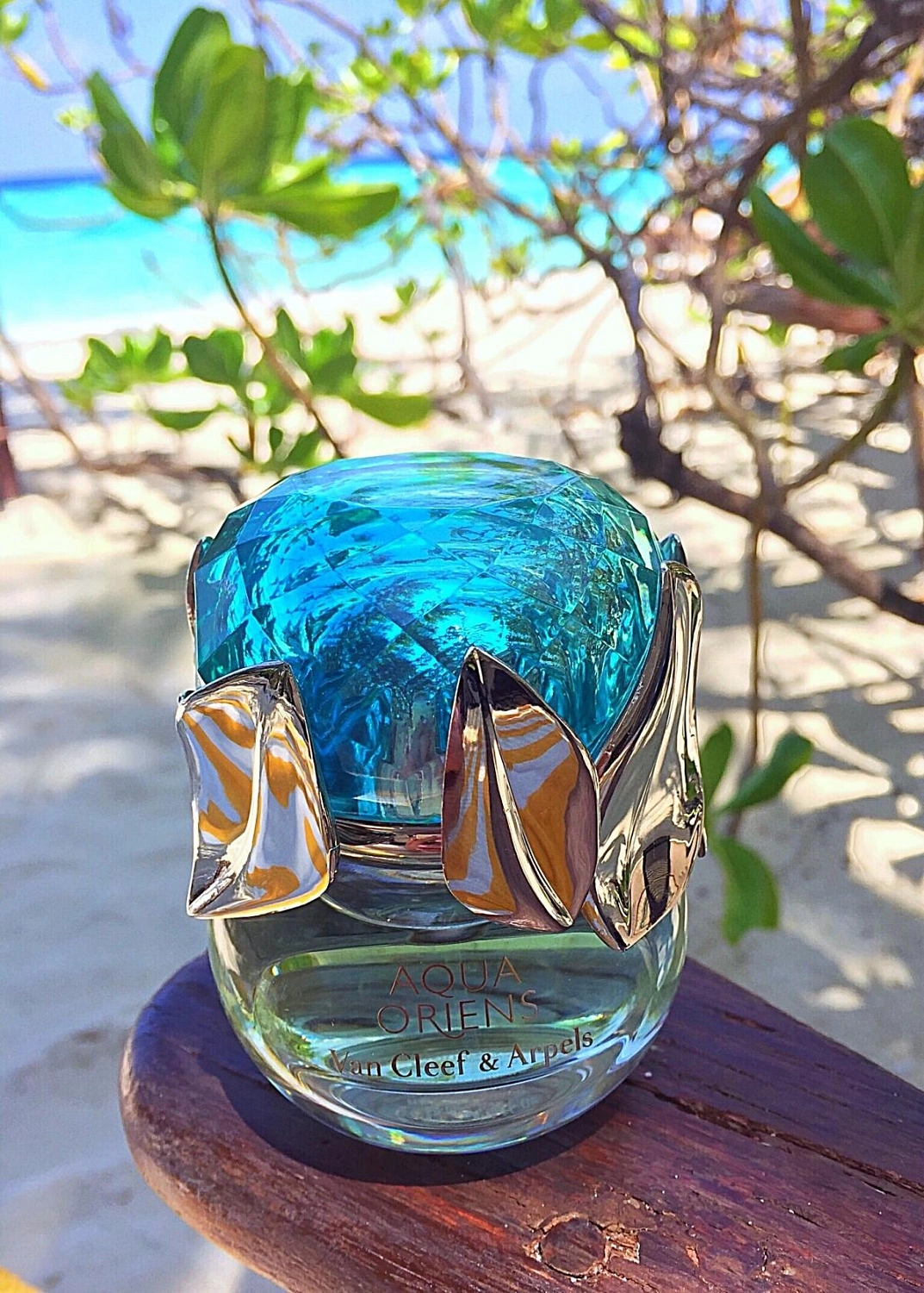 Van Cleef & Arpels Aqua Oriens