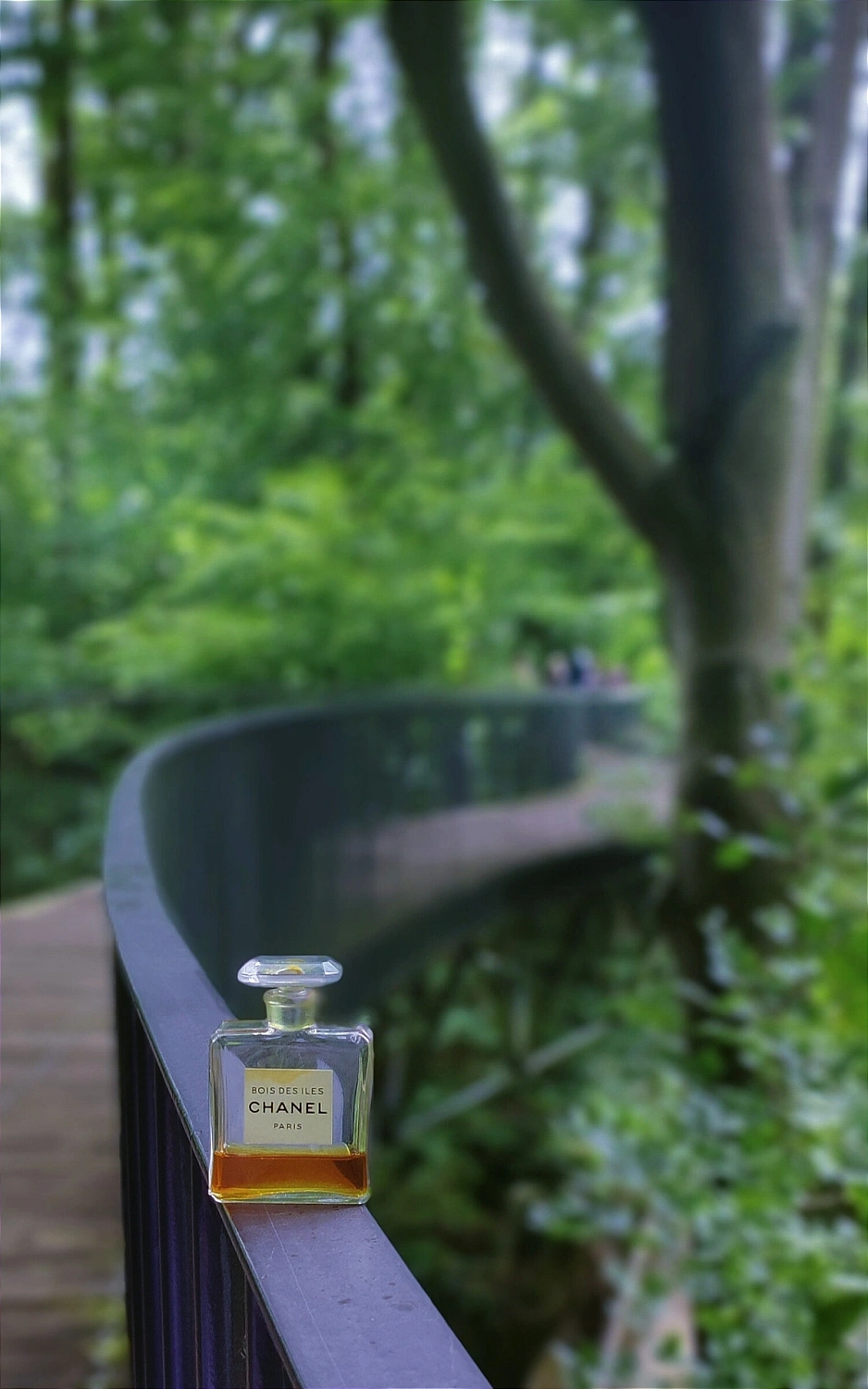 Chanel Bois des Iles