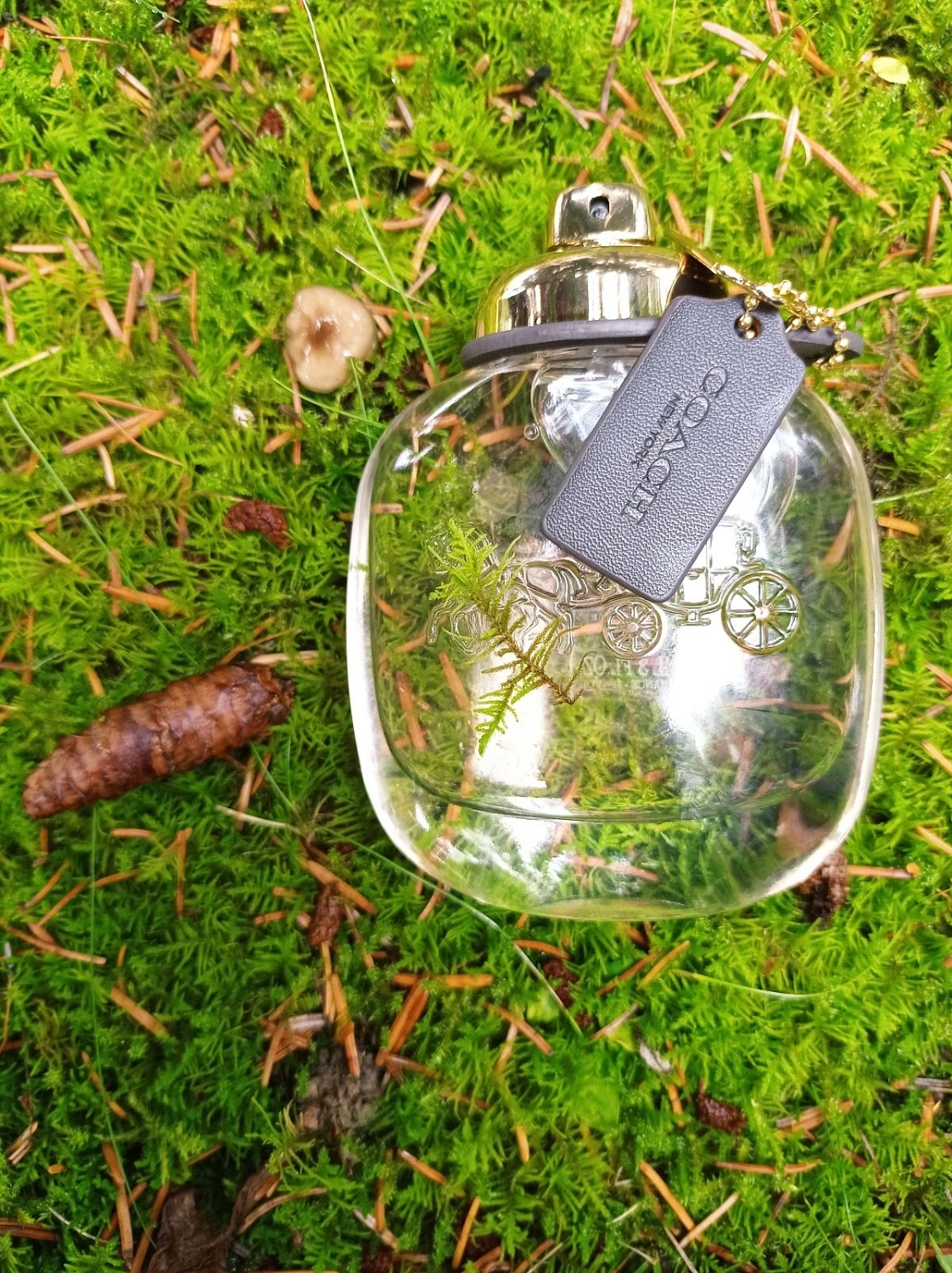 Coach the Fragrance (New York)