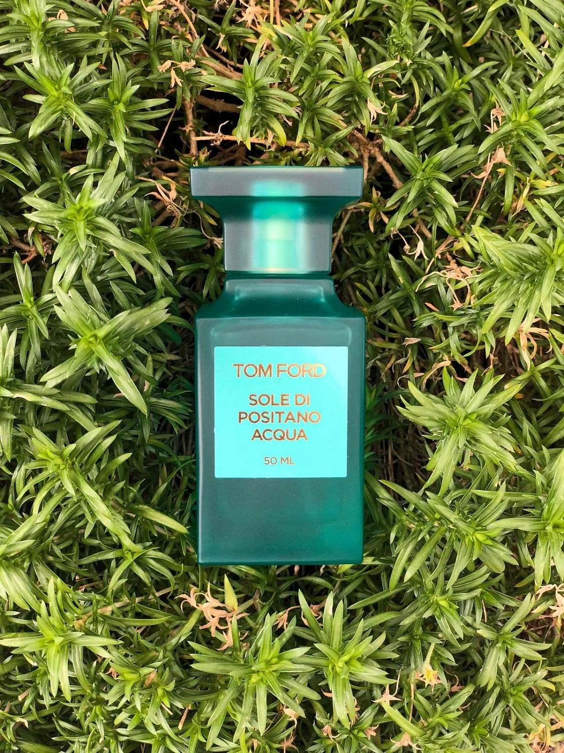 Tom Ford Sole Di Positano Acqua