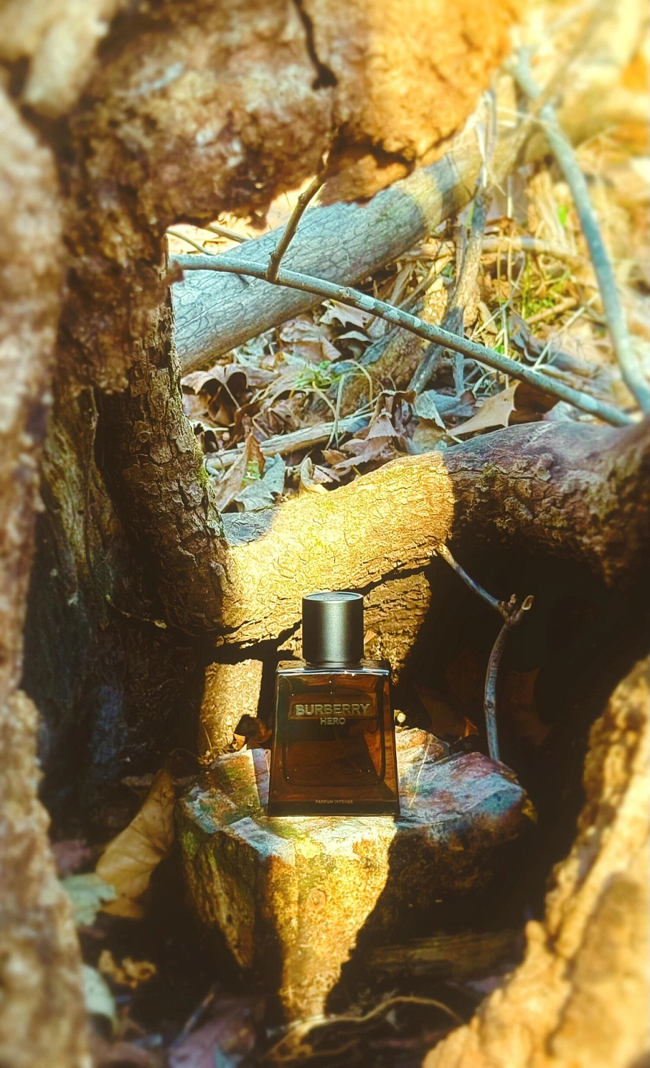 Burberry Hero Parfum Intense