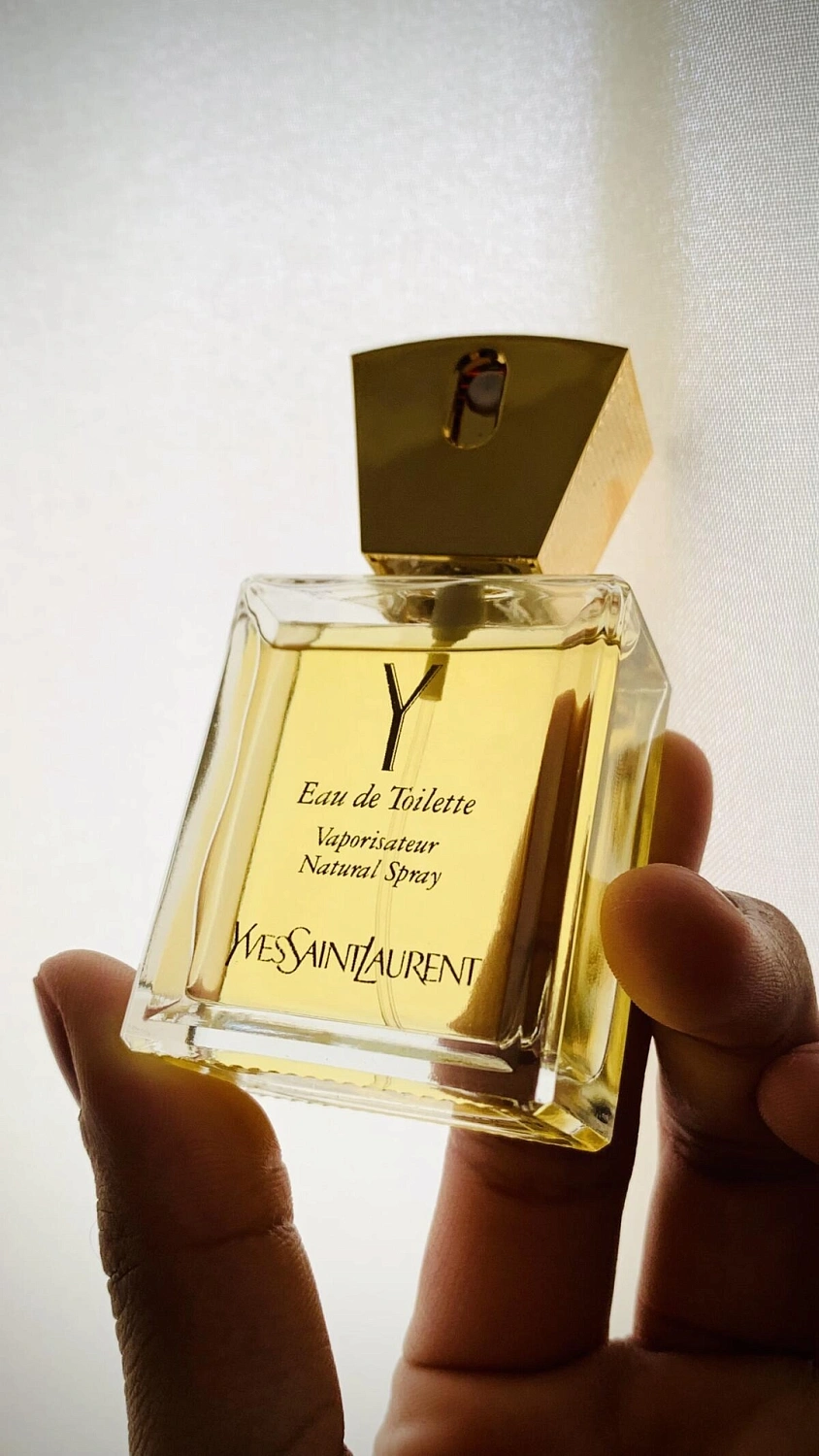 Yves Saint Laurent Y Yves Saint Laurent Y