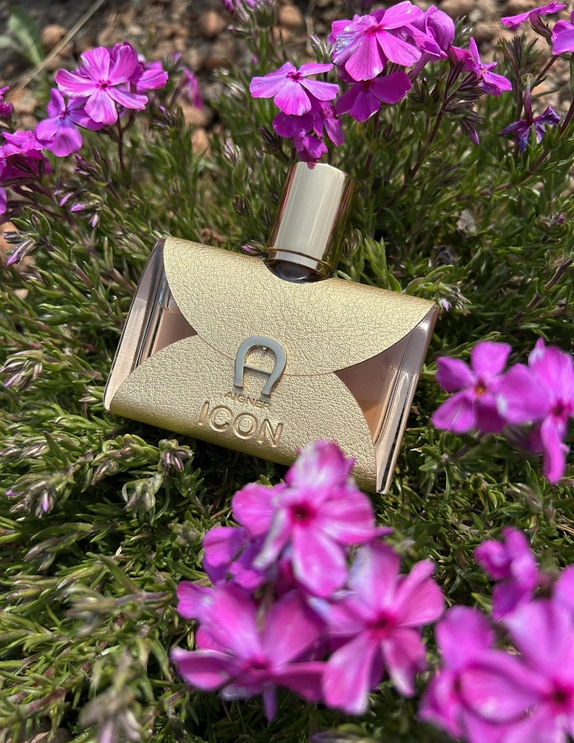 Aigner Icon Aigner Icon