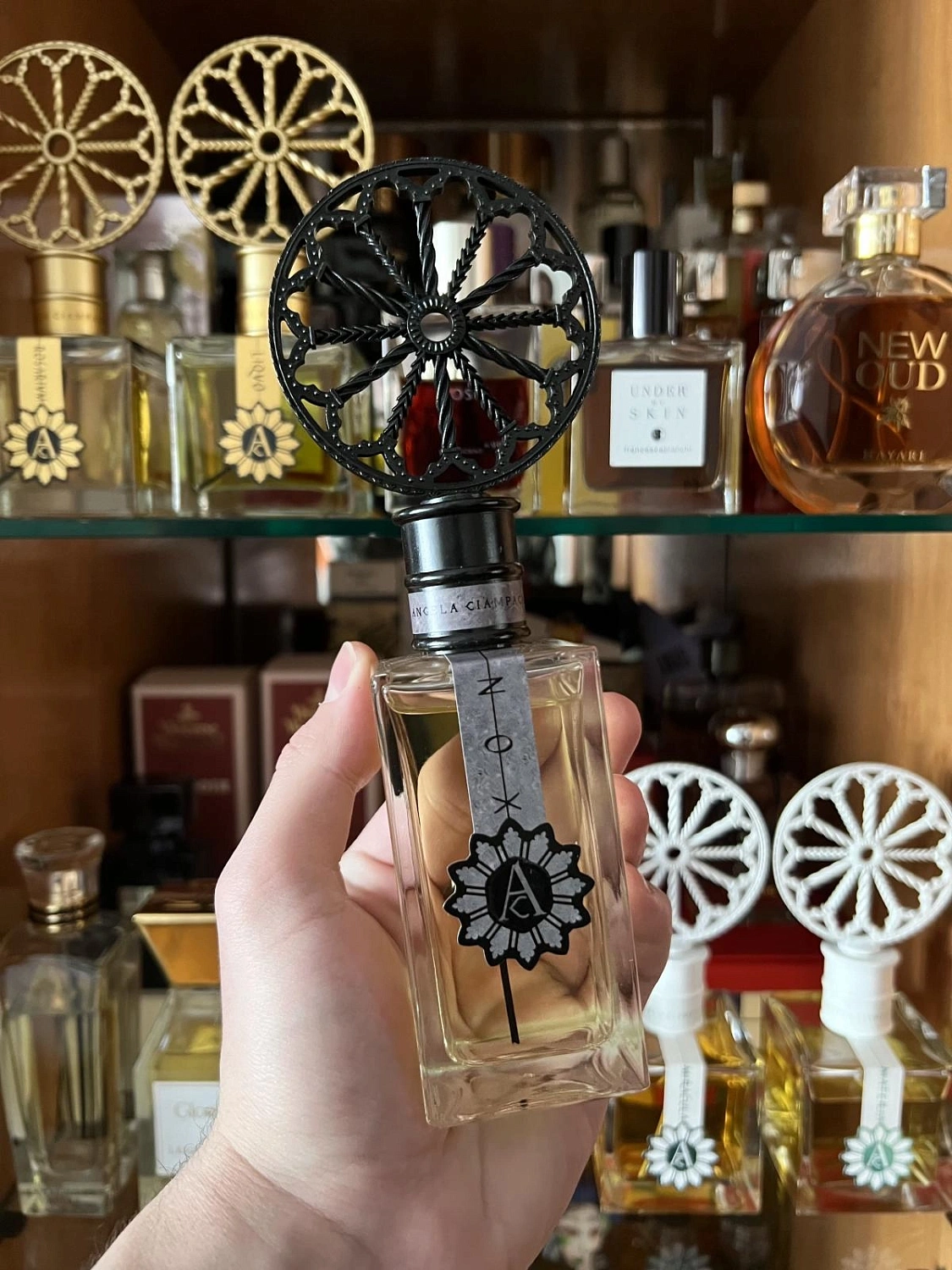 Angela Ciampagna Nox