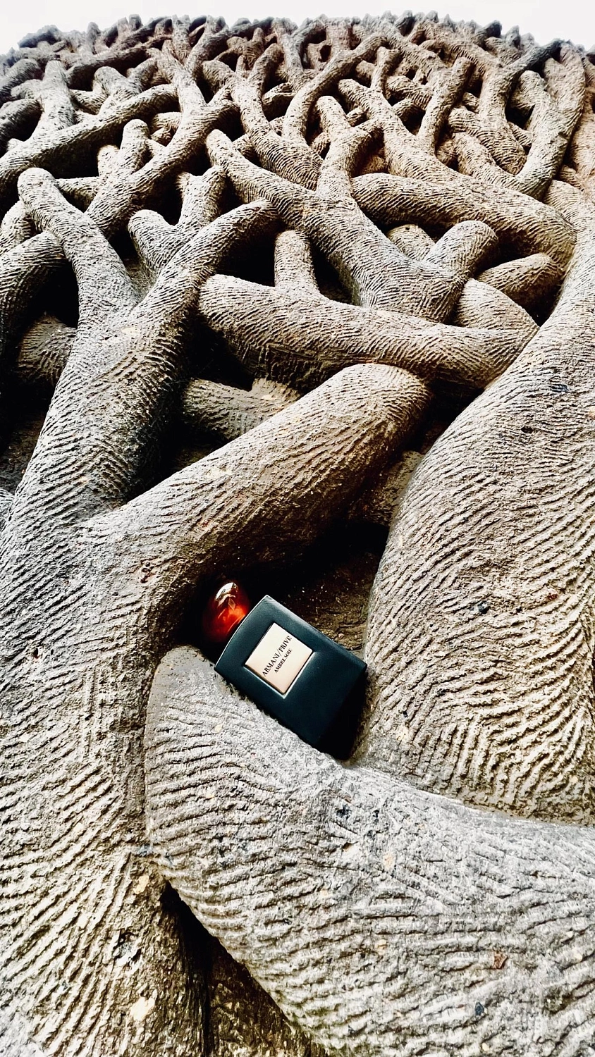 ARMANI Prive Ambre Soie