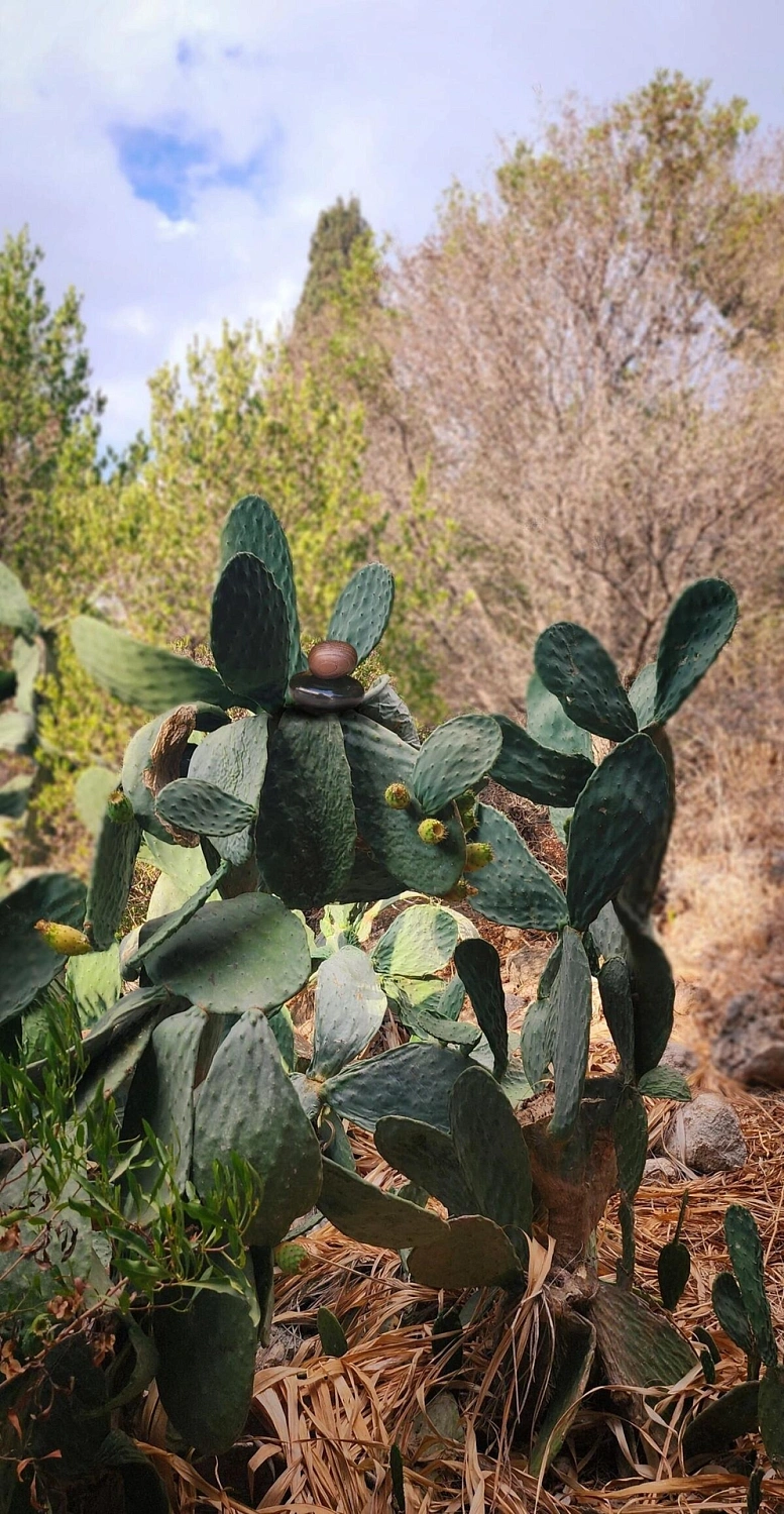 Majda Bekkali Mon Nom Est Rouge