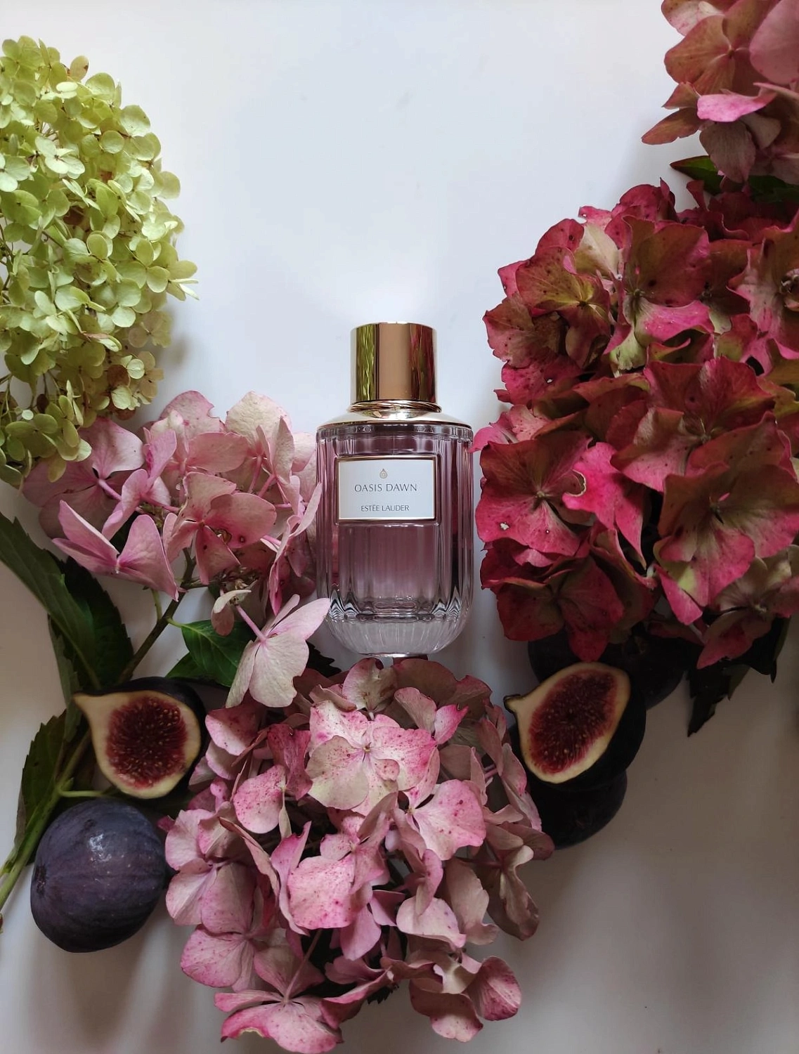 Estee Lauder Oasis Dawn Estee Lauder Oasis Dawn