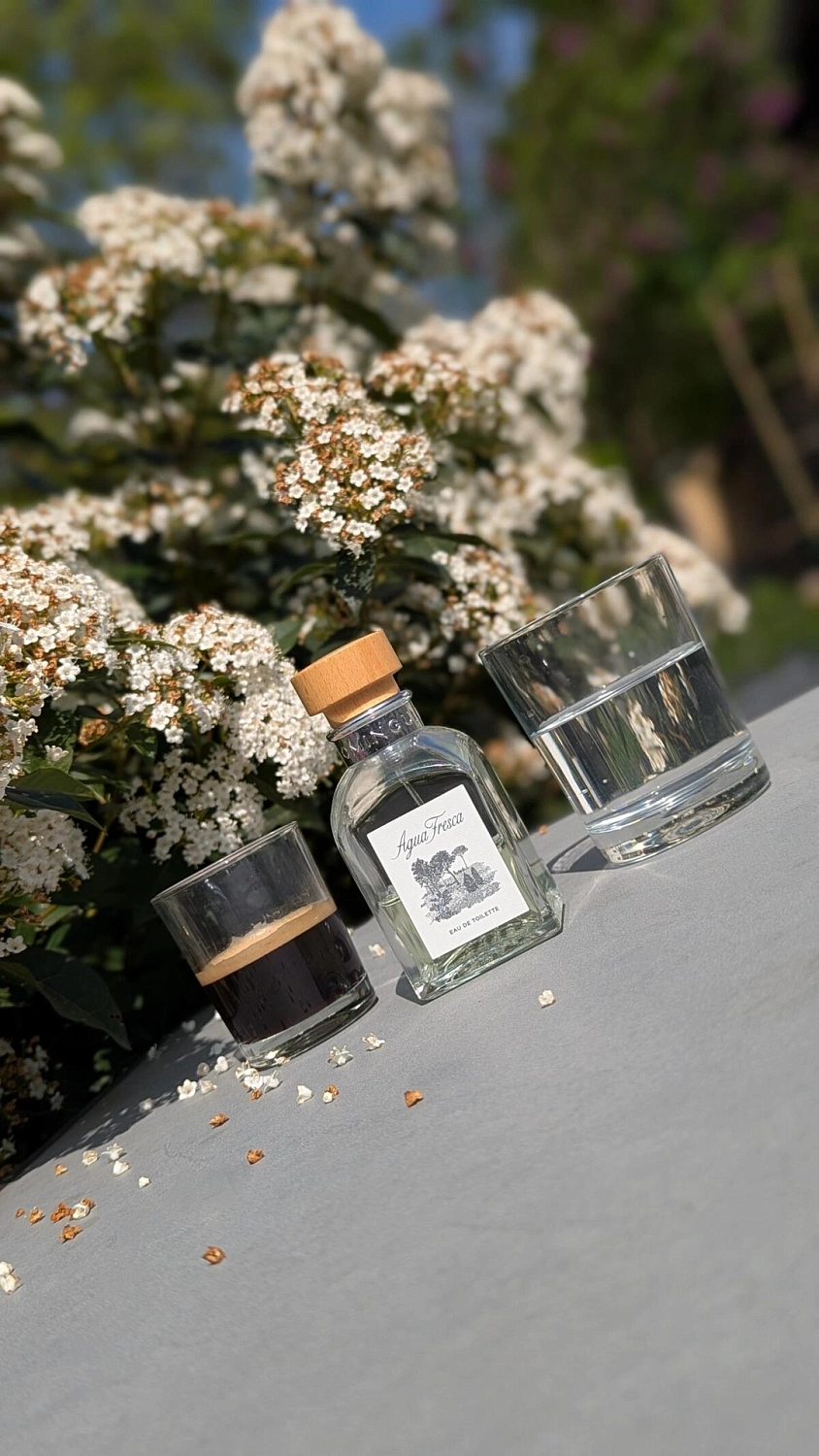 Adolfo Dominguez Agua Fresca