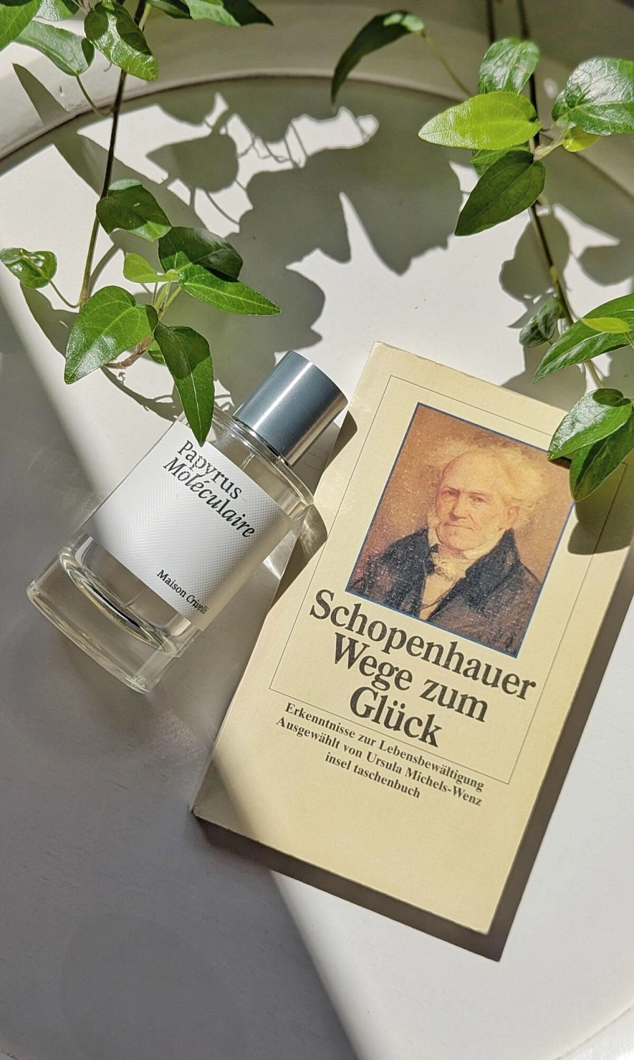 Maison Crivelli Papyrus Moleculaire