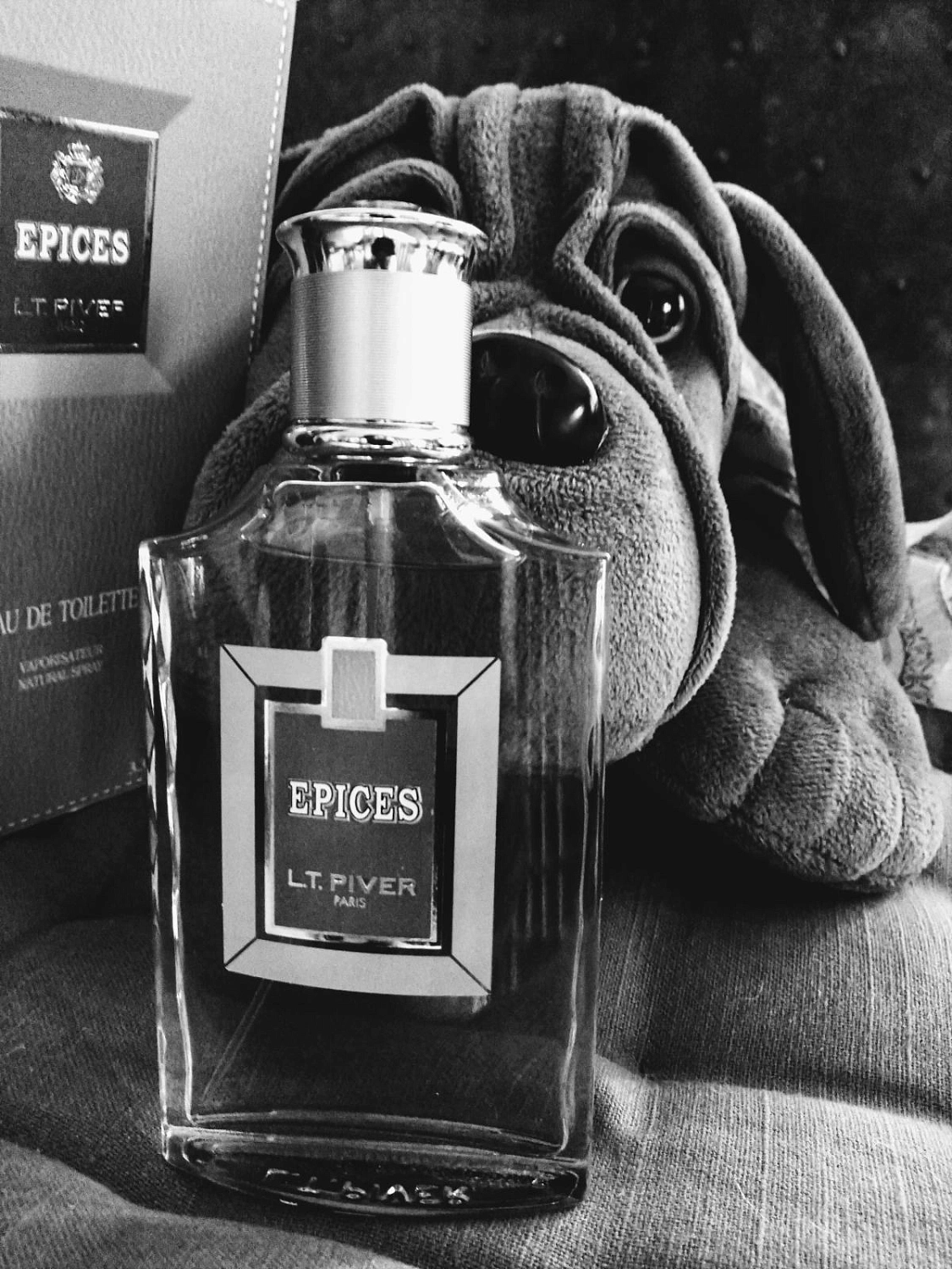 L.T. Piver Epices L.T. Piver Epices