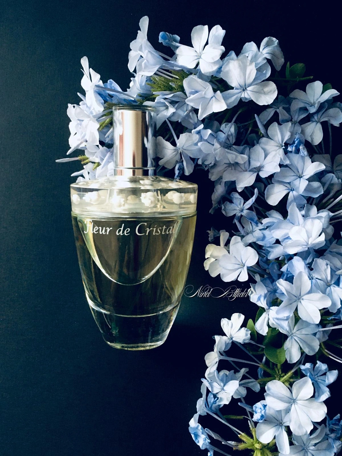 Lalique Fleur de Cristal