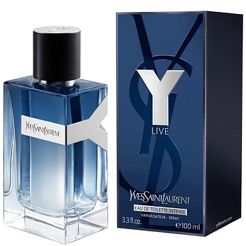Фото Yves Saint Laurent Y Live
