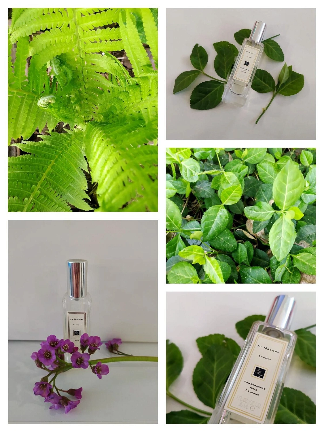 Jo Malone Pomegranate Noir Jo Malone Pomegranate Noir