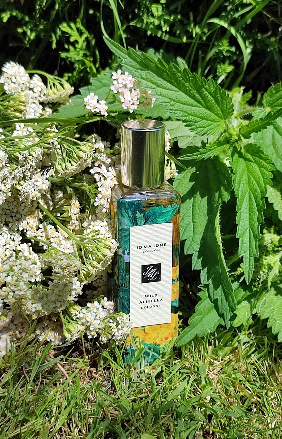 Jo Malone Wild Achillea Jo Malone Wild Achillea