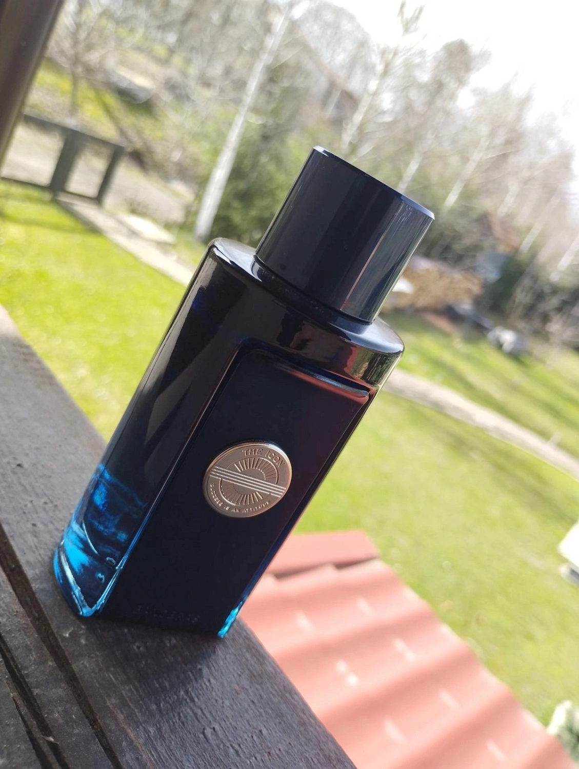 Antonio Banderas The Icon