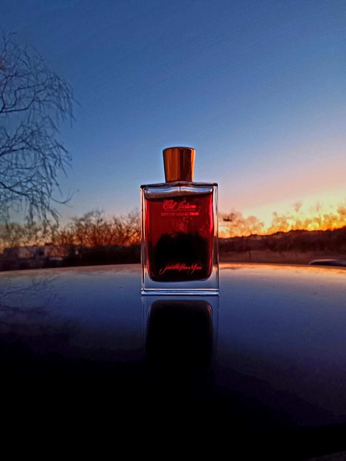 Juliette Has A Gun Oil Fiction