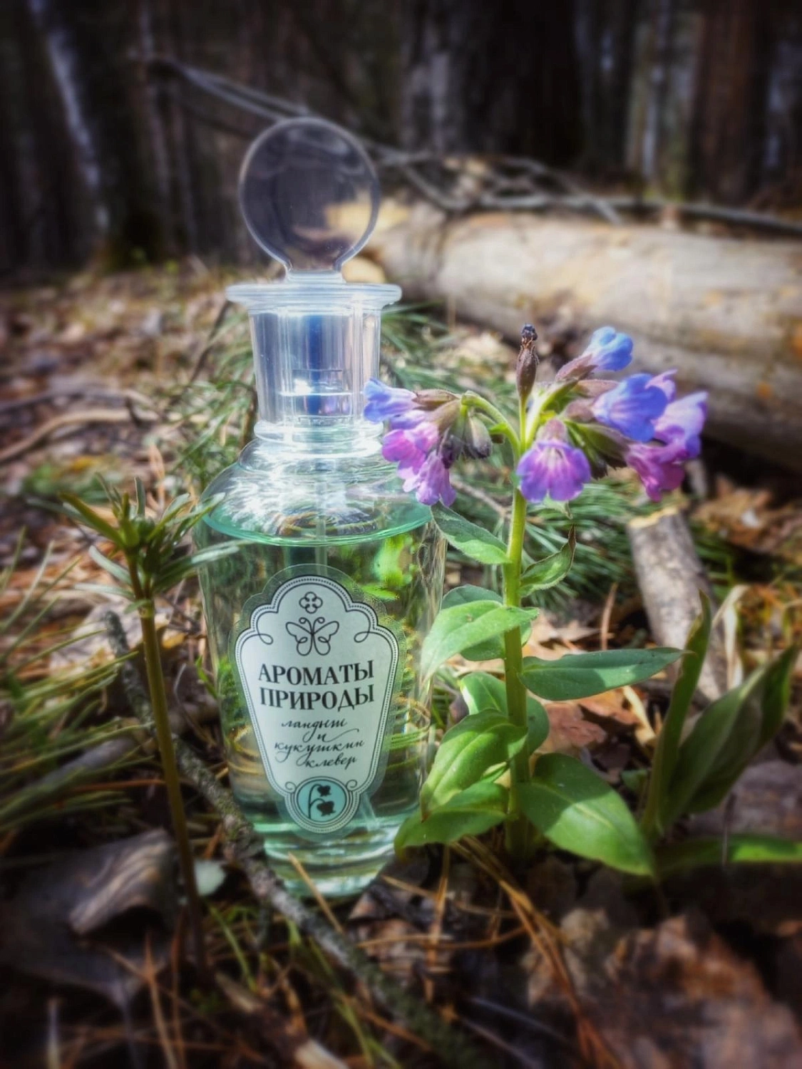 Brocard Ландыш и Кукушкин клевер