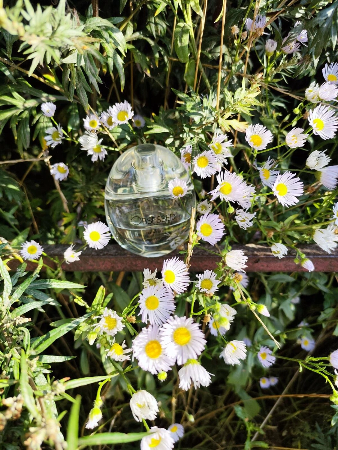 CALVIN KLEIN Obsessed for Women