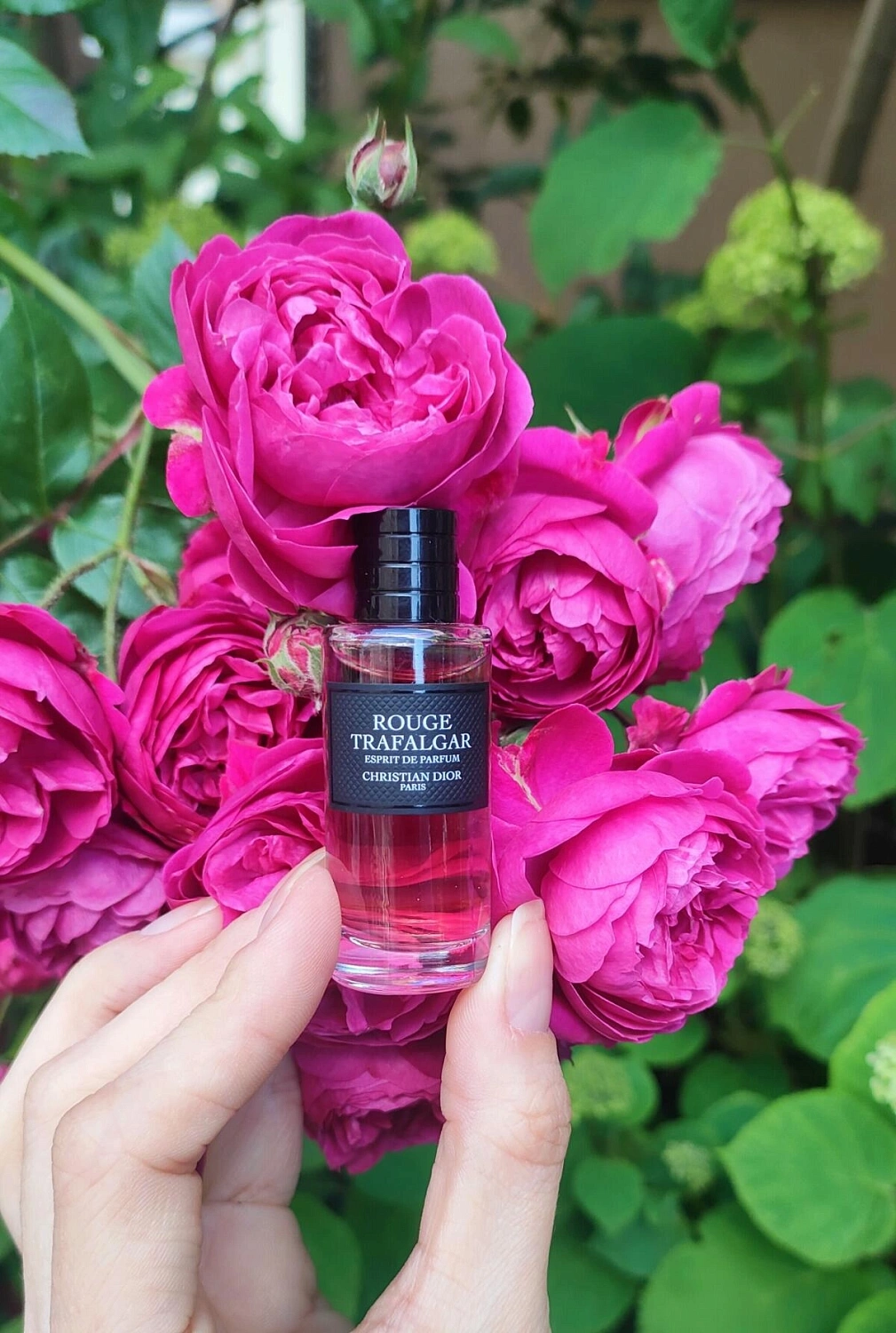 Christian Dior Rouge Trafalgar Esprit De Parfum