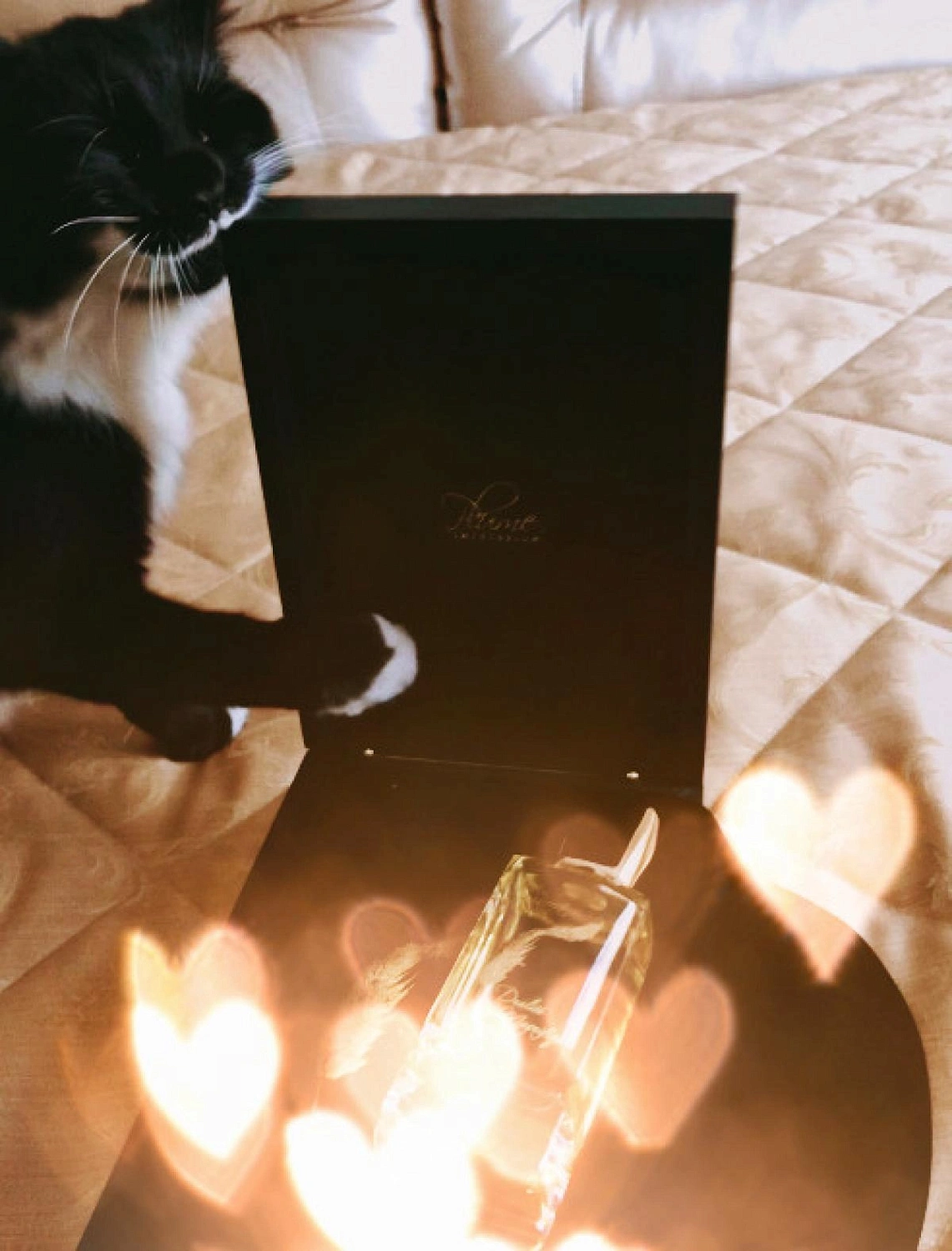 Plume Impression Dualite Magnifique